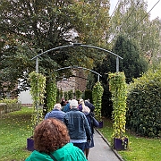 026 Lopen naar de Altstadt